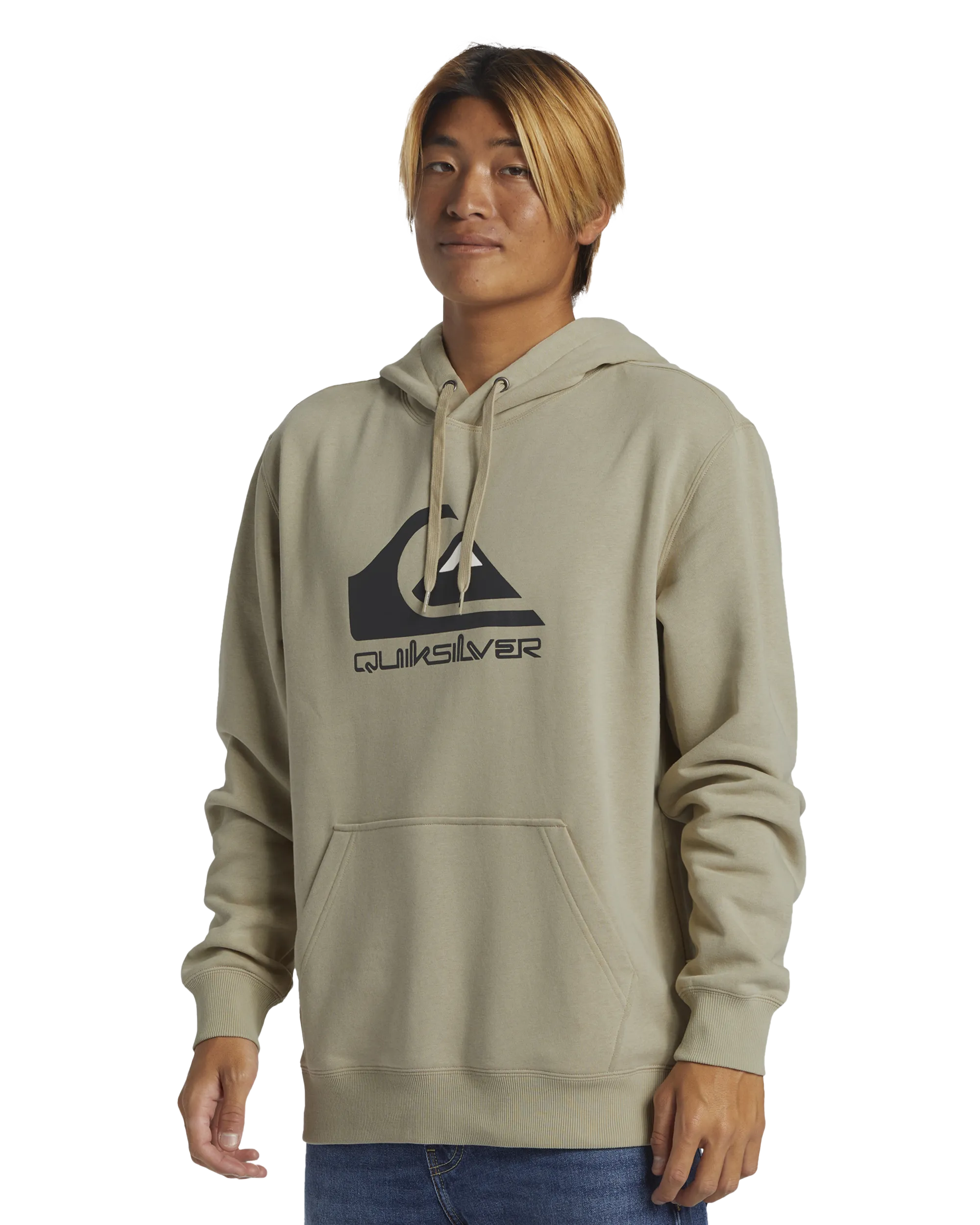 Big Logo Hoodie in Plaza Taupe