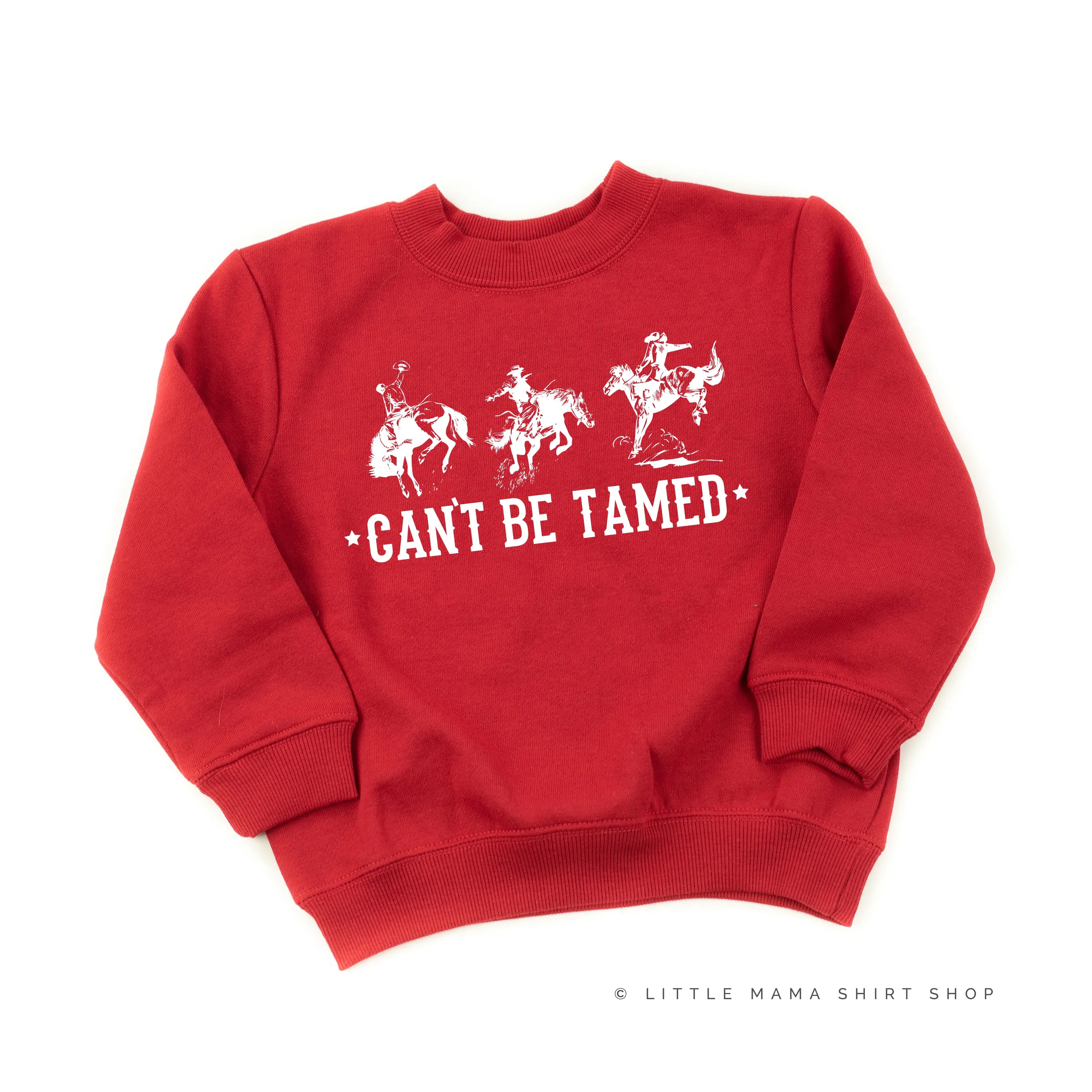 Can't Be Tamed - Child Sweater