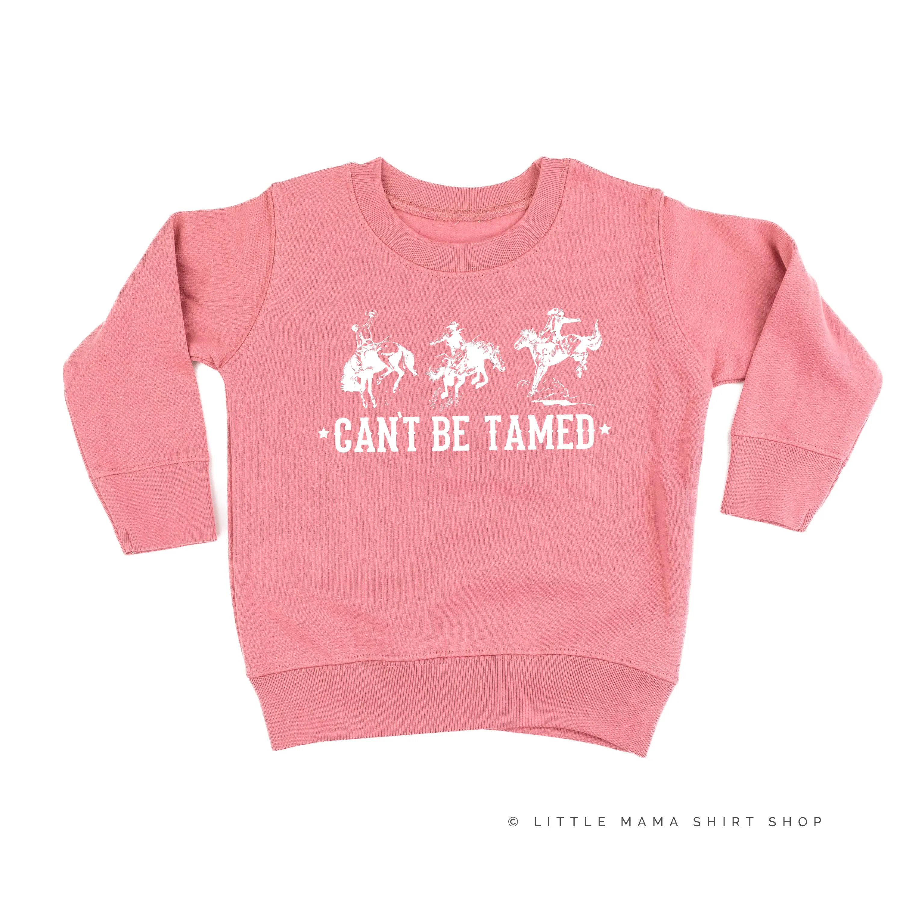 Can't Be Tamed - Child Sweater