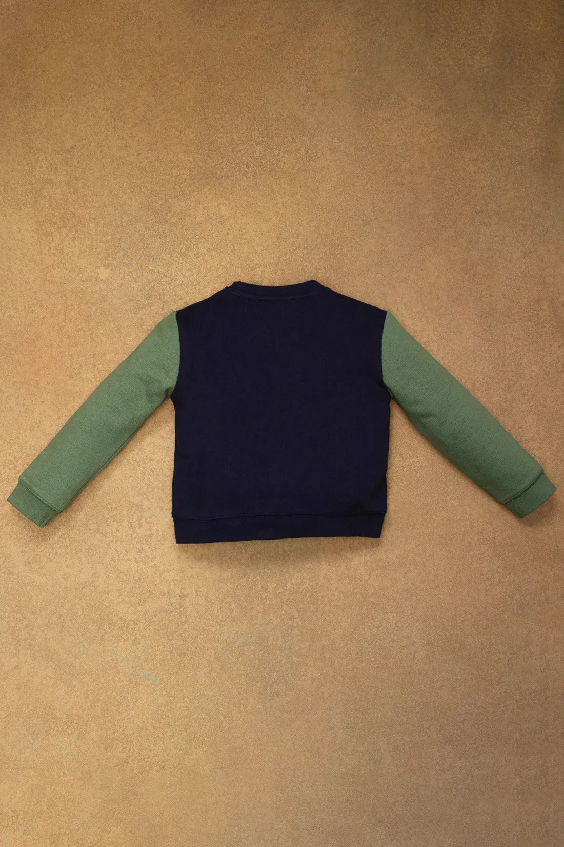 One Friday Baby Boys Blue & Green Sweat Shirt